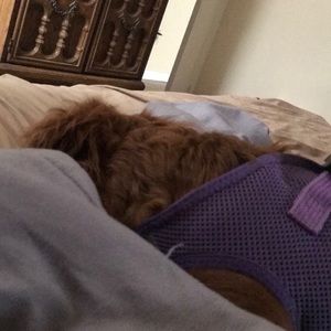 Meet your Posher, Kaitlin